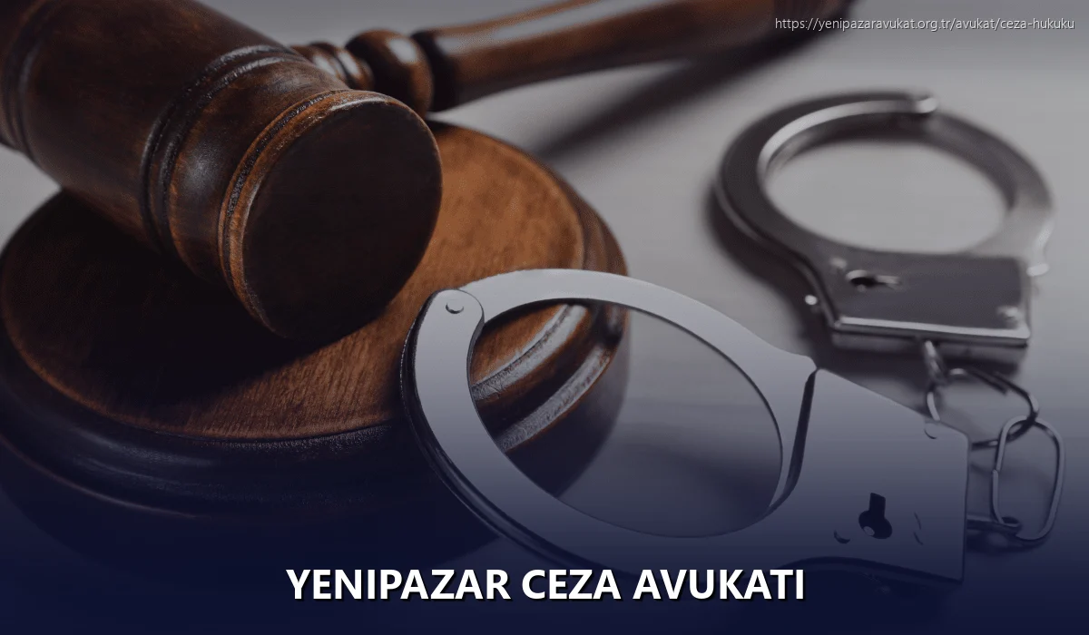 Yenipazar Ceza Avukatı